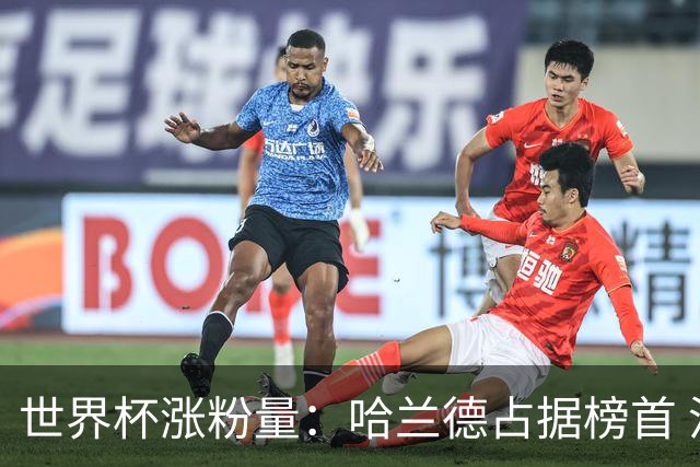 世界杯涨粉量：哈兰德占据榜首 沃齐尼亚粉丝涨幅97900%