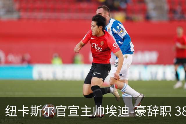 纽卡斯尔官宣主帅埃迪-豪辞职 38岁德国少帅将上任