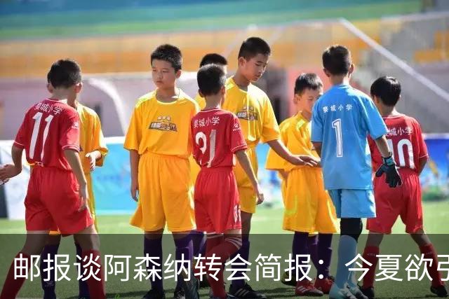 邮报谈阿森纳转会简报：今夏欲引援4至5人，巴尔科拉、罗杰斯在列
