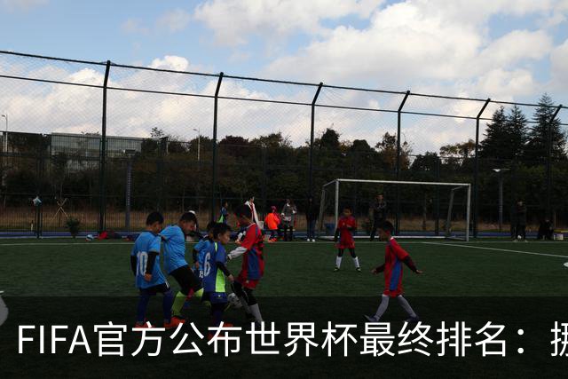 FIFA官方公布世界杯最终排名：挪威第五 墨西哥第九